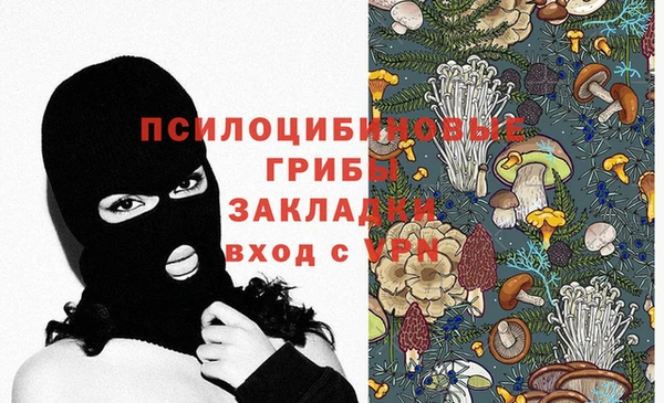 ГАЛЛЮЦИНОГЕННЫЕ ГРИБЫ Алзамай