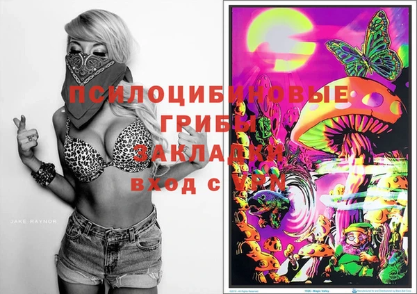 ГАЛЛЮЦИНОГЕННЫЕ ГРИБЫ Алзамай