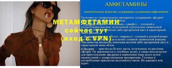 твердый Вяземский