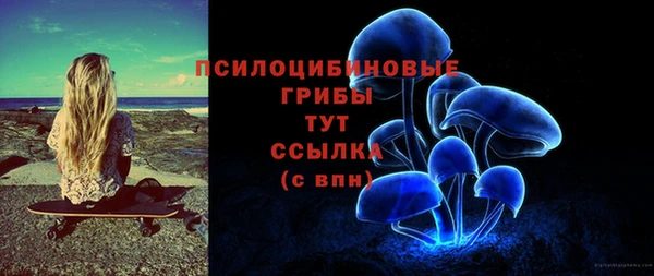синтетический гашиш Алексин