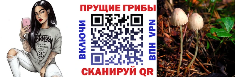 Псилоцибиновые грибы мицелий  Долинск 